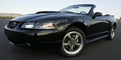 2004 Ford  Mustang